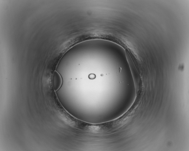 X0000091000265200708091546