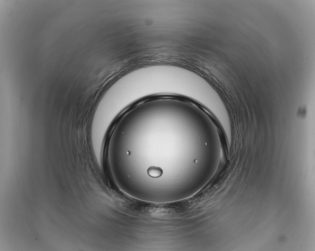 X0000091000268200708091546