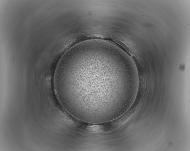 X0000091000269200708091546