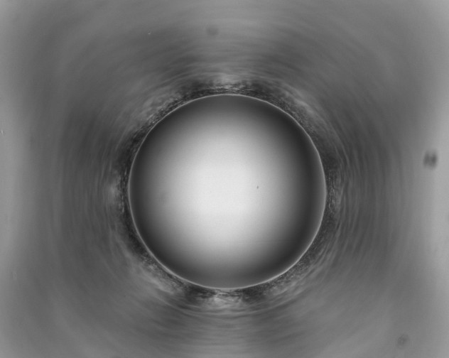 X0000091000270200708091546