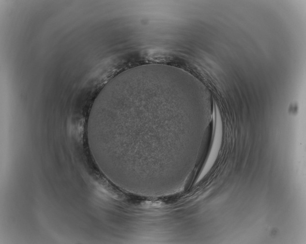 X0000091000271200708091546