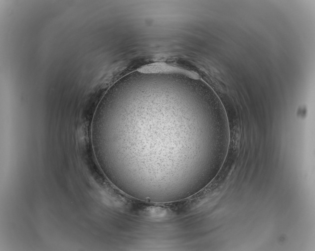 X0000091000272200708091546