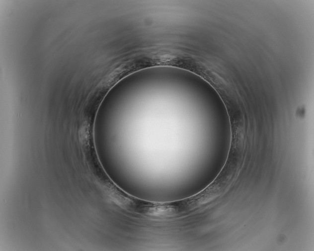 X0000091000274200708091546