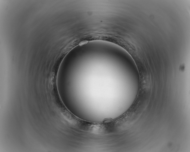 X0000091000275200708091546