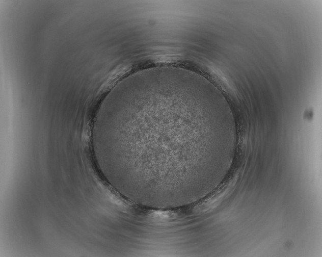 X0000091000277200708091546