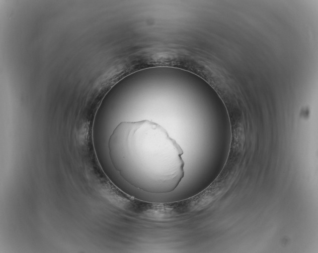 X0000091000278200708091546