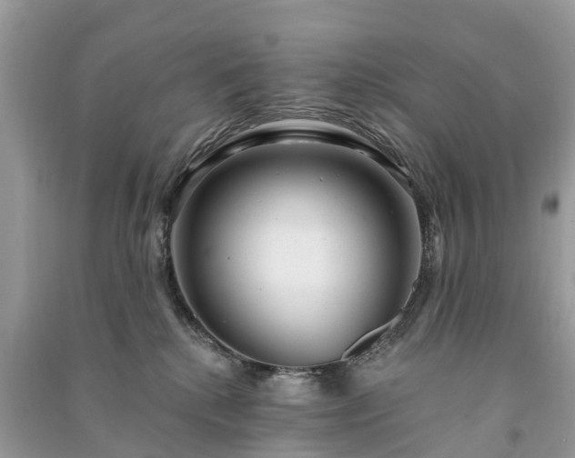 X0000091000280200708091546