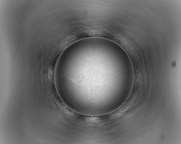 X0000091000281200708091546