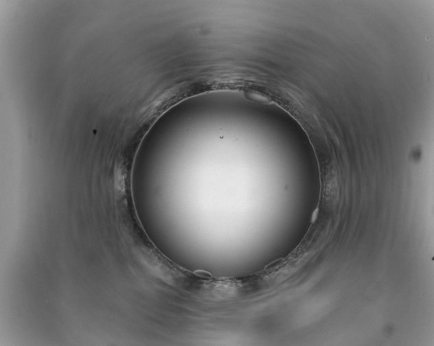 X0000091000282200708091546