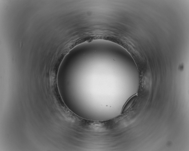 X0000091000283200708091547