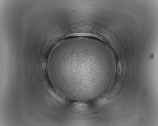 X0000091000284200708091547