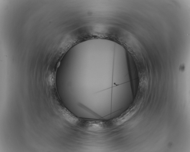 X0000091000285200708091547