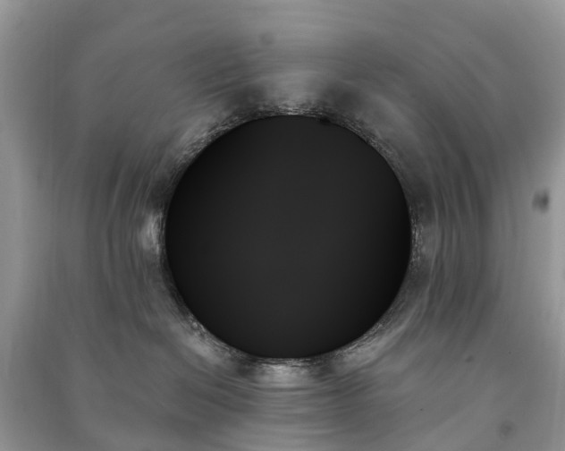 X0000091000286200708091547
