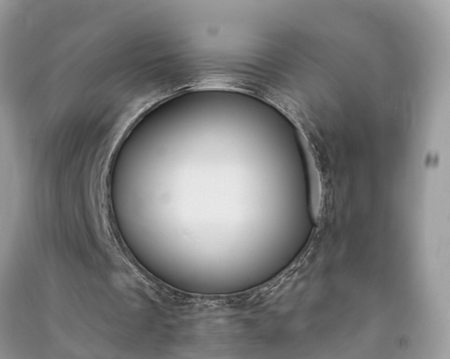 X0000091000289200708091546