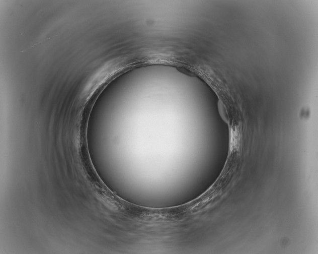 X0000091000291200708091546