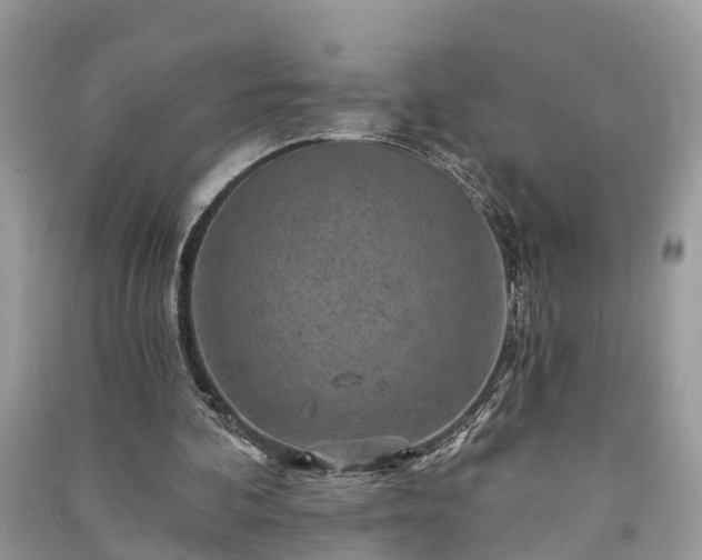 X0000091000292200708091546