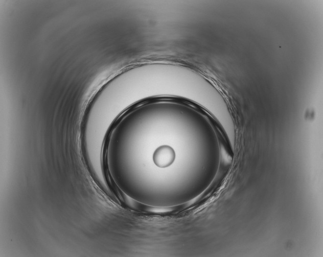 X0000091000293200708091546