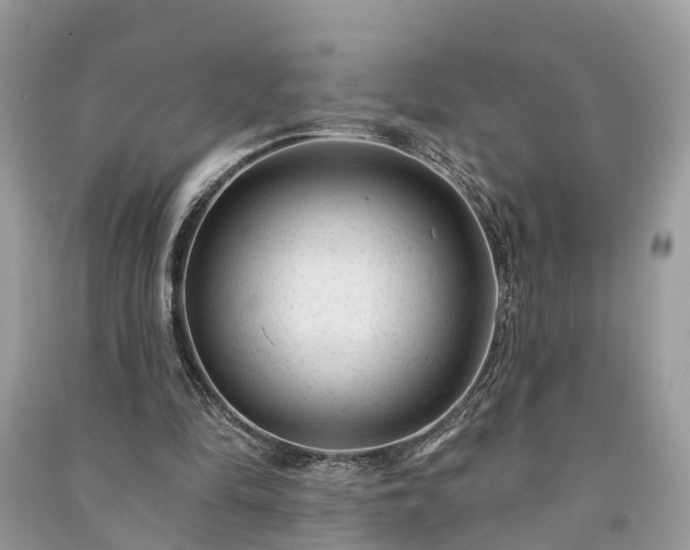 X0000091000294200708091546