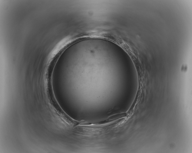 X0000091000295200708091546