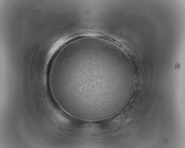 X0000091000296200708091546