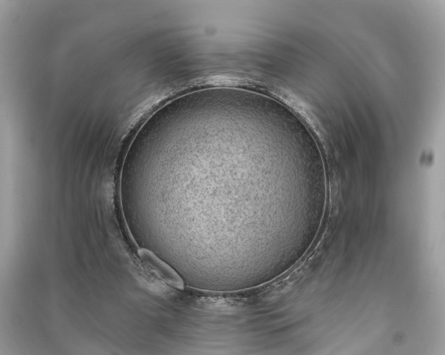 X0000091000297200708091546