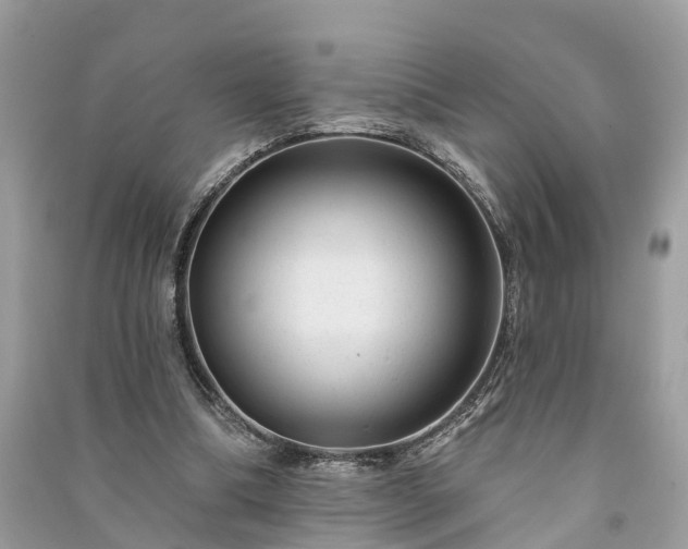 X0000091000298200708091546