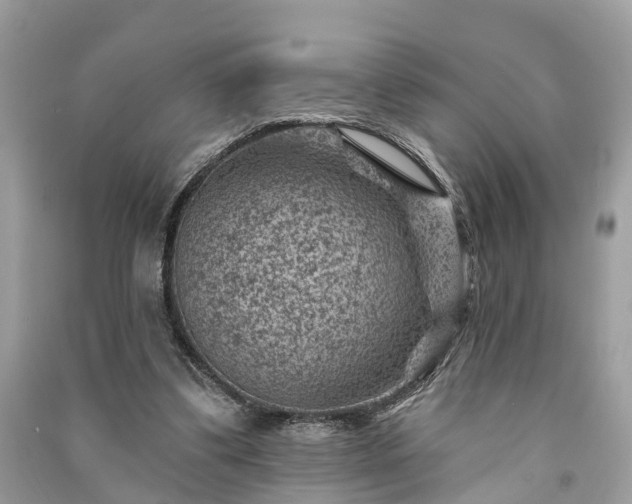 X0000091000299200708091546