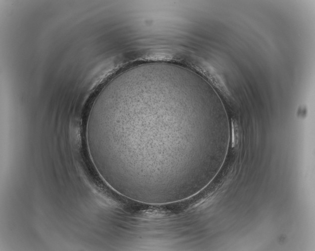 X0000091000300200708091546
