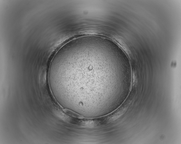X0000091000301200708091546