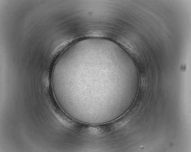 X0000091000302200708091546