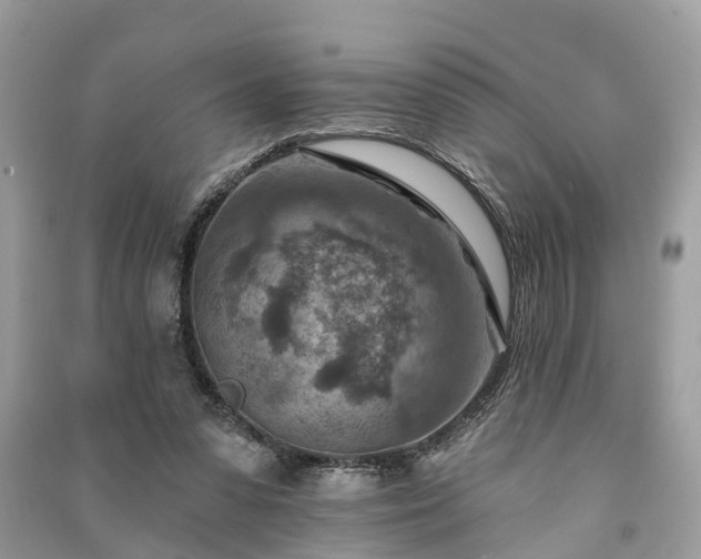 X0000091000303200708091546