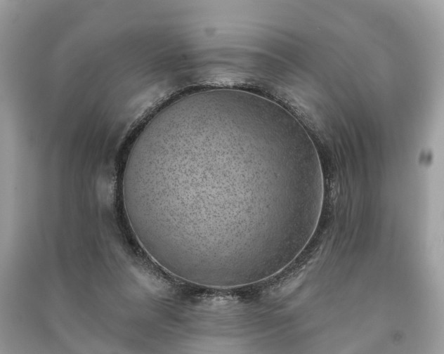 X0000091000304200708091545