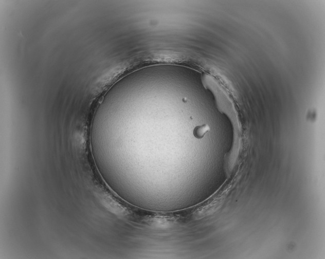X0000091000305200708091545