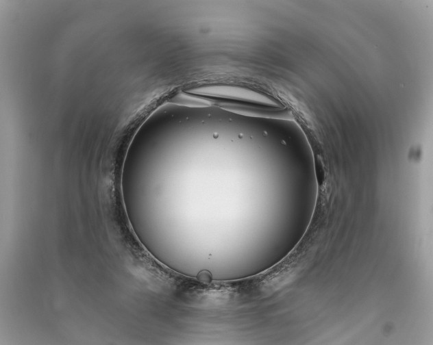 X0000091000306200708091545