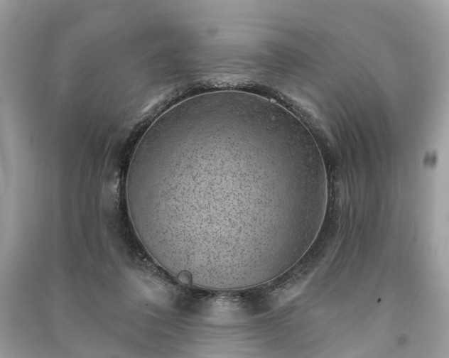 X0000091000308200708091545