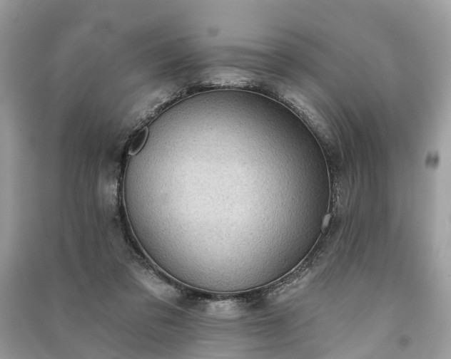 X0000091000309200708091545