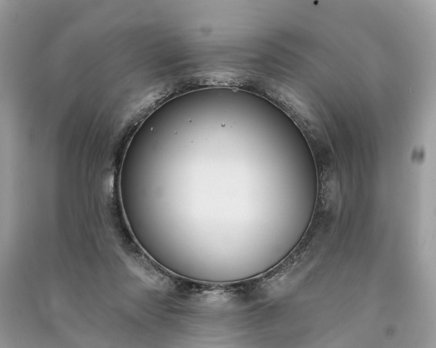 X0000091000310200708091545