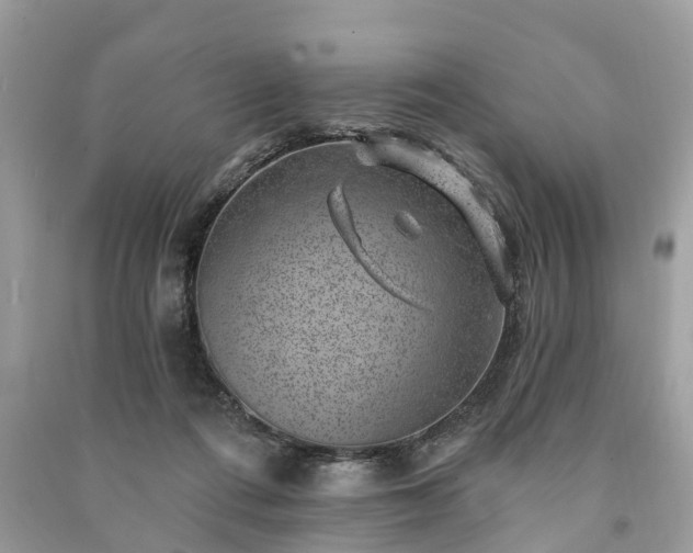 X0000091000312200708091545