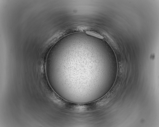 X0000091000313200708091545