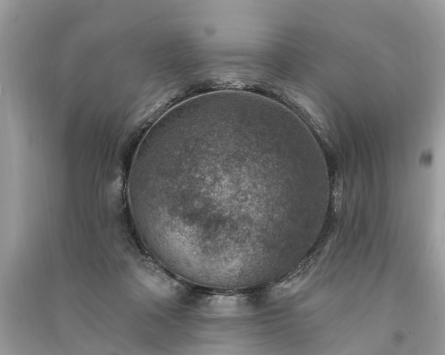 X0000091000314200708091545