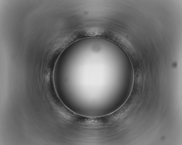 X0000091000315200708091545