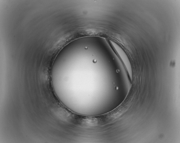 X0000091000317200708091545
