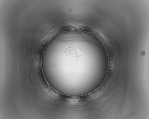 X0000091000318200708091545