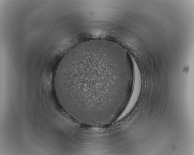 X0000091000319200708091545
