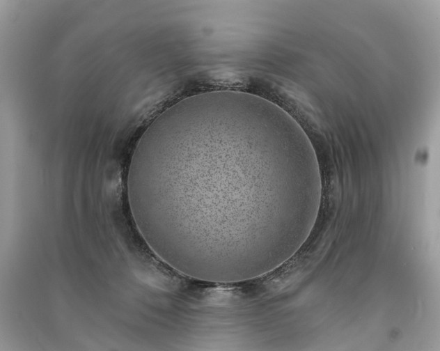 X0000091000320200708091545