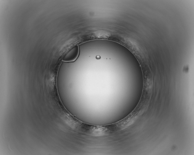 X0000091000321200708091545