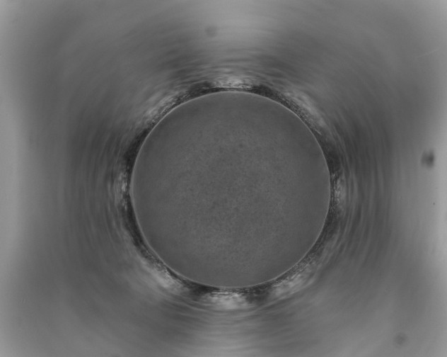 X0000091000322200708091545