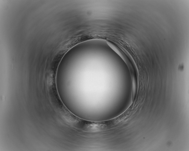 X0000091000323200708091545