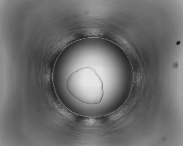 X0000091000326200708091545
