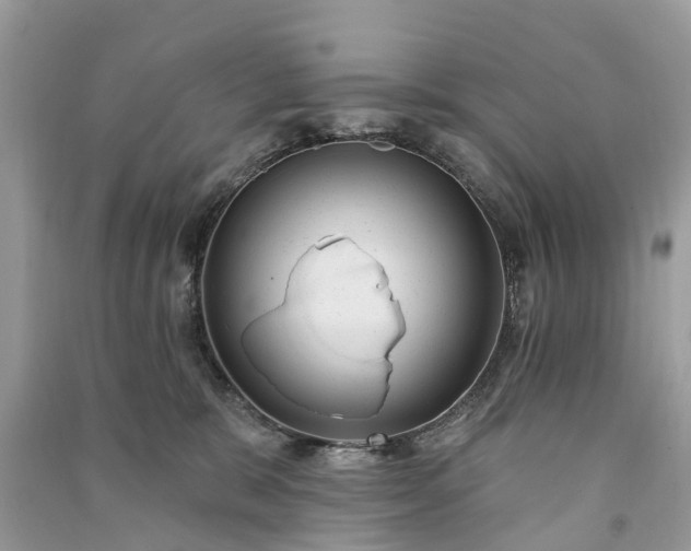 X0000091000327200708091545
